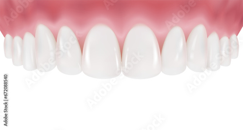 Upper row of teeth and gums are arranged in a clean  white curve. Healthy teeth and perfectly clean gums. Realistic vector illustration Isolated on white background.