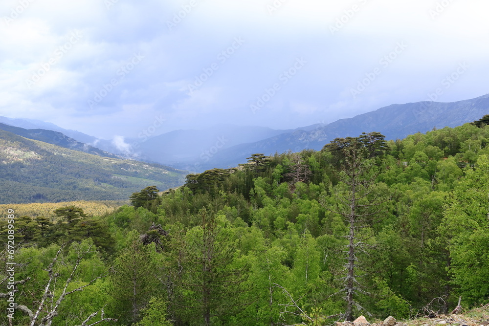 Obraz premium beautiful mountain landscape in die centre of corsica, france