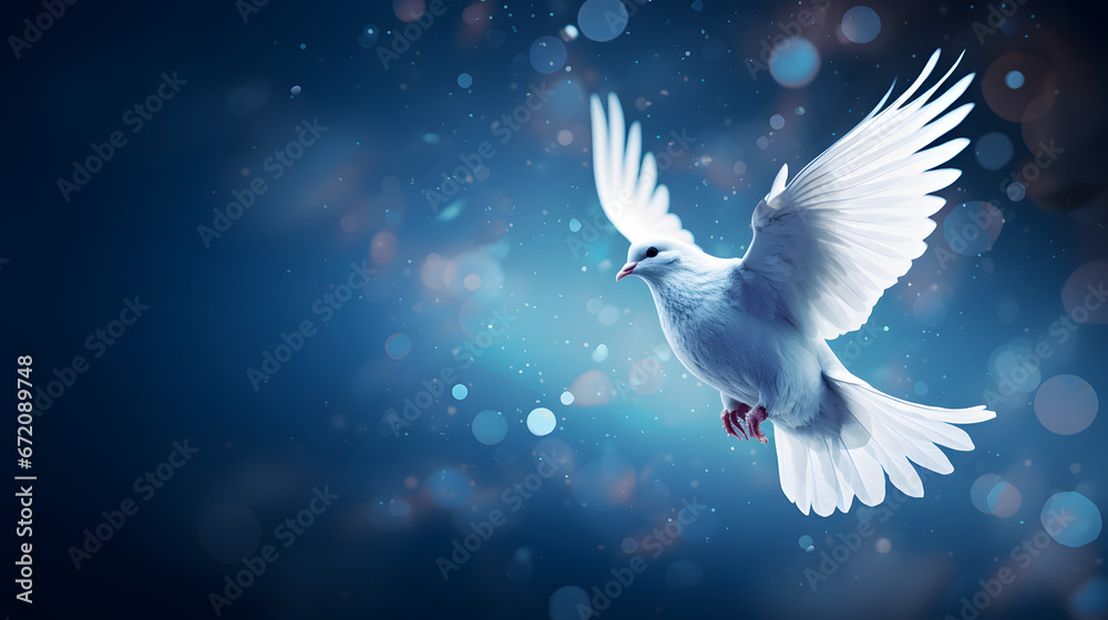 International peace day beautiful pigeon background International peace day beautiful pigeon background