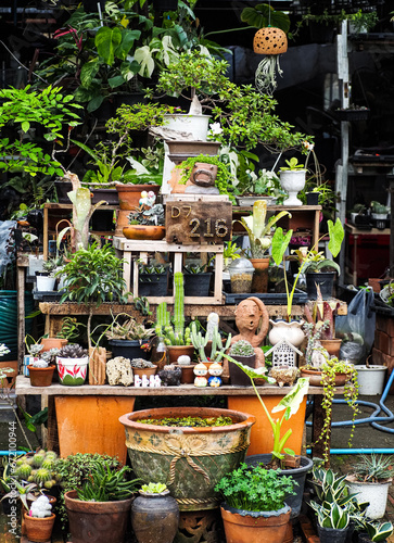 thai style garden