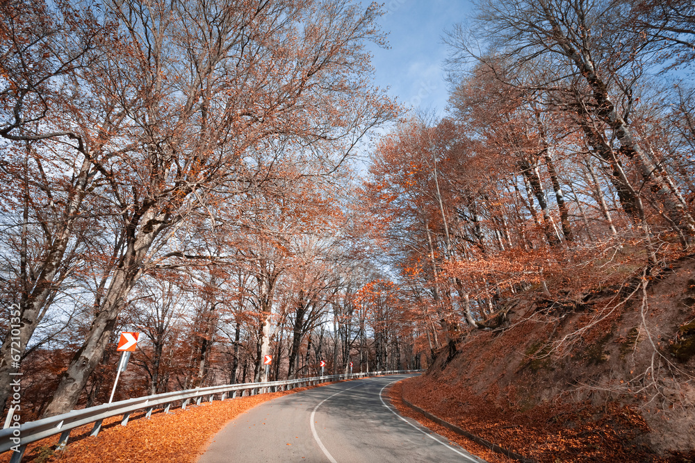 Road through the autumn forest Road through the autumn forest
