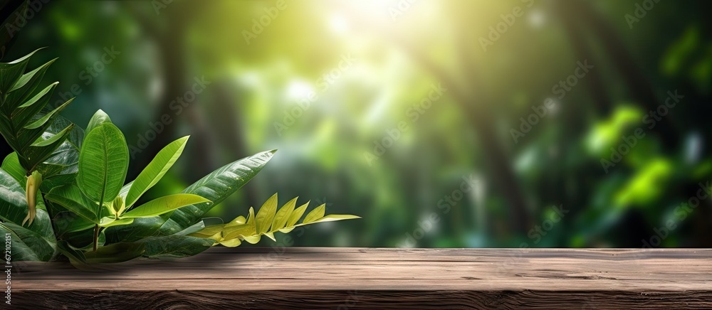 Empty table with nature tapestry. Exploring beauty of green foliage sunlit leaves and organic textures in summer environment Empty table with nature tapestry. Exploring beauty of green foliage sunlit leaves and organic textures in summer environment