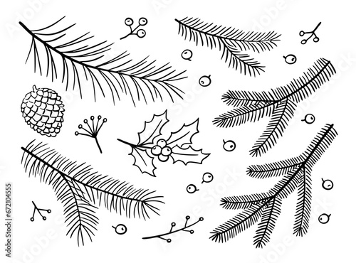 Hand-drawn winter branches and berries