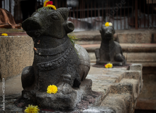 Small nandi (cow) statues in the Thanjavur Big Temple(also referred as the Thanjai Periya Kovil in tamil language). photo