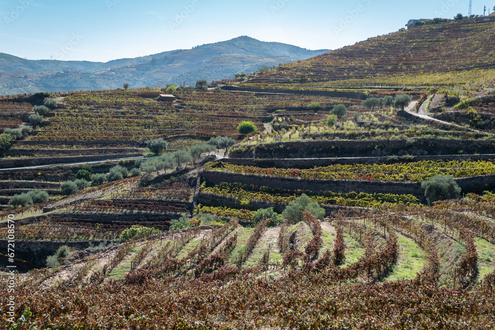 Entre montanhas, uma zona rural com algumas vinhas, com as cores típicas do Outono/Inverno Trás os Montes, Portugal