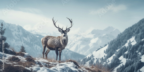 Noble deer in winter forest. Autumn scene with reindeer. Snowy winter christmas landscape © Aquir