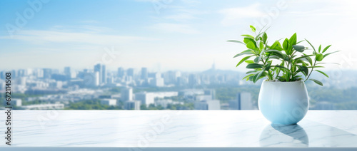 a plant in a pot stands on an internal windowsill overlooking the morning city. photo
