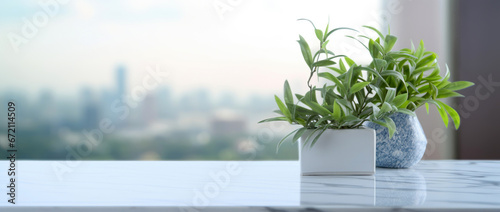 a plant in a pot stands on an internal windowsill overlooking the morning city. photo