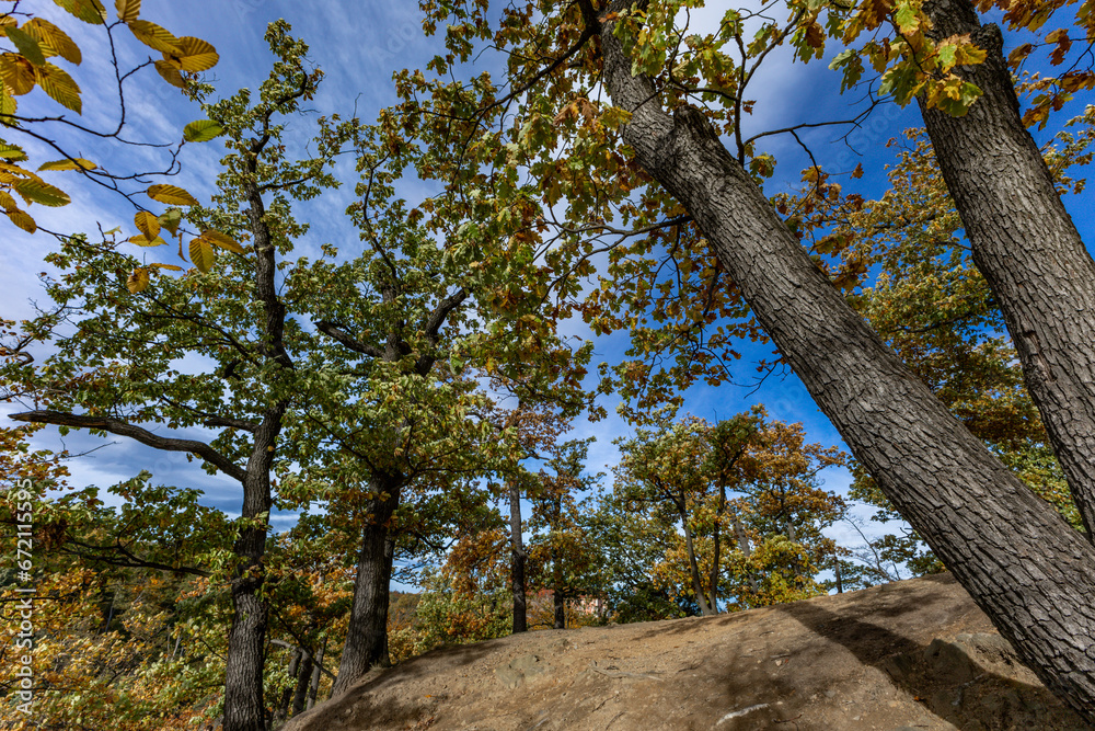 Obraz premium Autumn walk in the park next to Ksiaz Castle, tourist attractions of Silesia