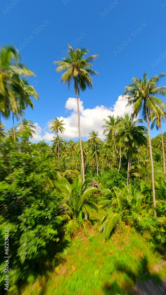 FPV drone flying through the lush tropical rainforest close to towering trees, palm fronds, ferns, and exotic flora. FPV drone flying through the lush tropical rainforest close to towering trees, palm fronds, ferns, and exotic flora.