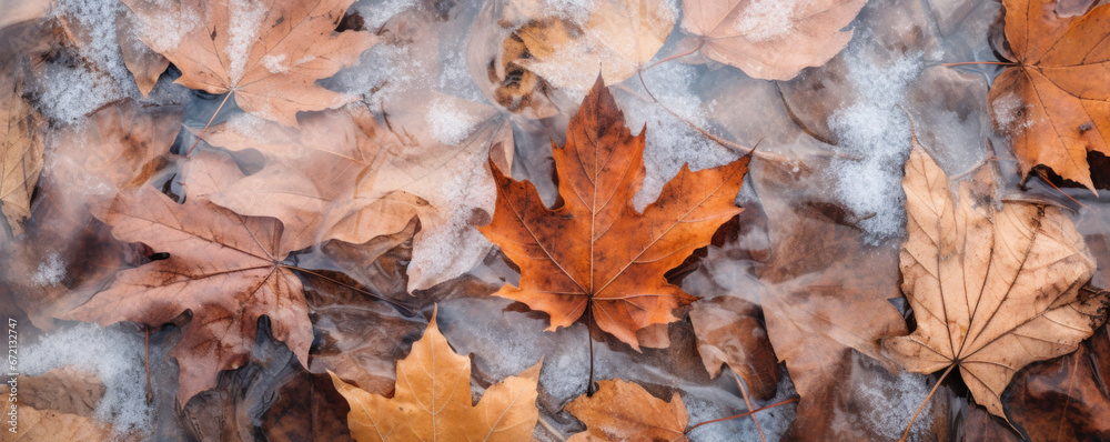 Beautiful frozen autumn maple leaves on the ground. Autumn winter background