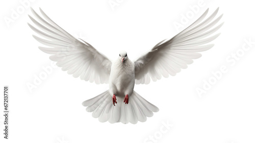 White dove flying freely on transparent background