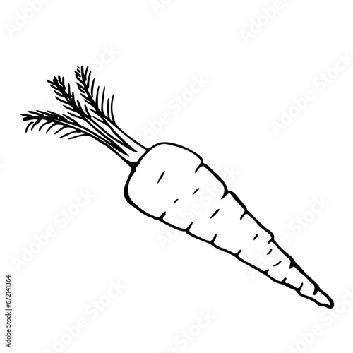 black silhouette of carrots. Sketch with lines by hand. Vector illustration