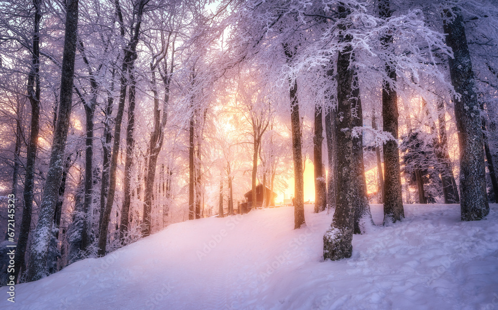 Snowy forest in amazing winter at sunset. Colorful landscape with trees in snow, trail, golden sunlight in evening. Snowfall in mountain woods. Wintry woodland. Snow covered forest and path. Nature
