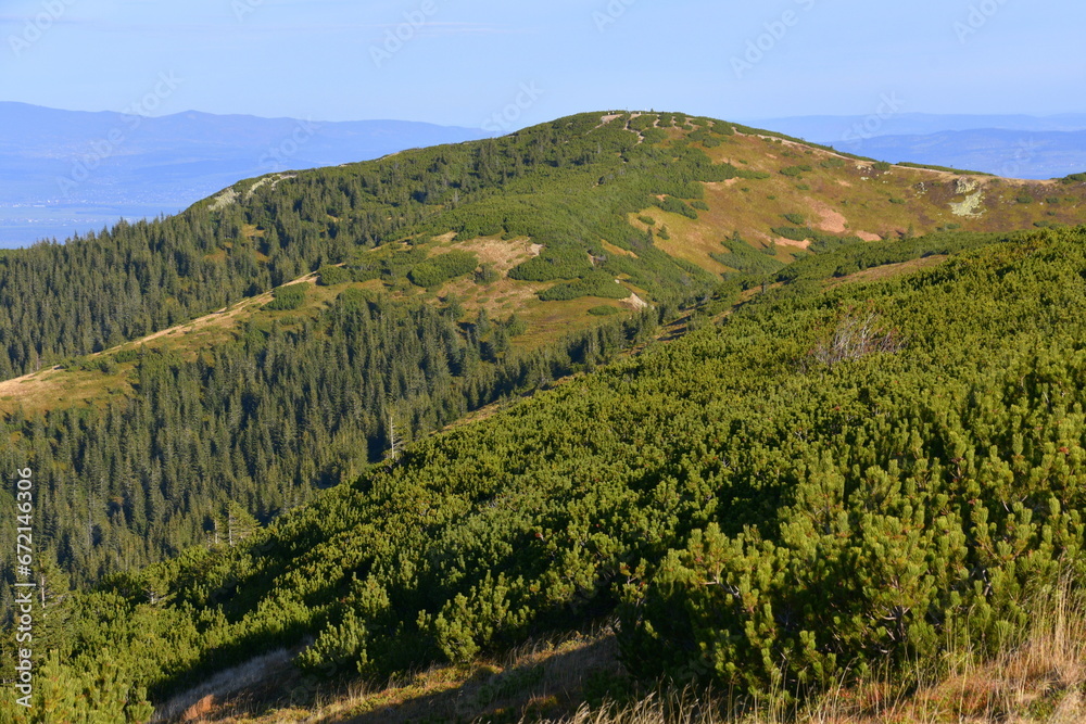 Góry, Tatry Zachodnie, Dolina Chochołowska, szlak pieszy, jesień, Małopolska, Polska, krajobraz, Góry, Tatry Zachodnie, Dolina Chochołowska, szlak pieszy, jesień, Małopolska, Polska, krajobraz,