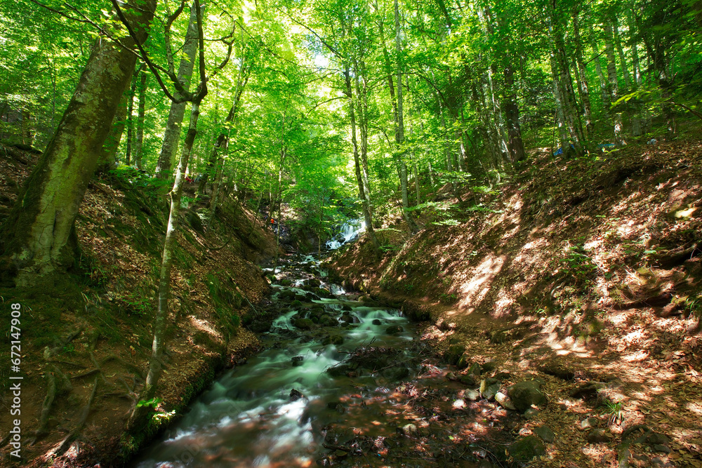 Summer landscape in (seven lakes) Yedigoller Park Bolu, Turkey