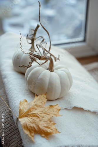 Autumn composition. Autumn setting with white pumpkins, autumn leaves. Thanksgiving Day concept. candinavian, hygge, cozy home concept, monochrome, abstract photo