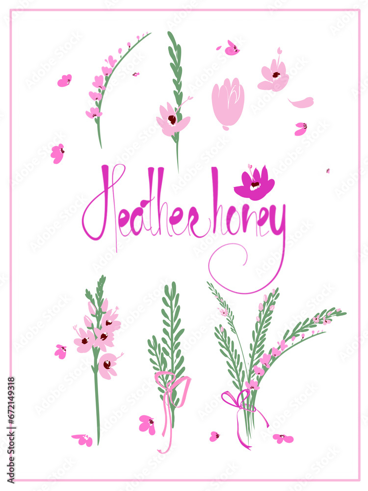 Heather, heather honey lettering, set of color illustrations, botanical illustration, for the design of cards, invitations, congratulations
