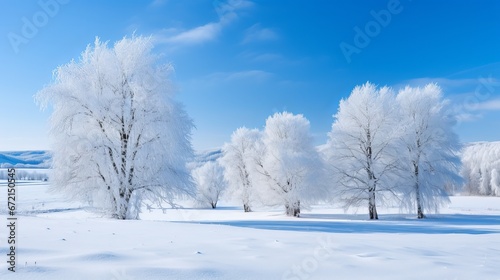 Scene see of mountains secured in snow and harvest time trees © Roma