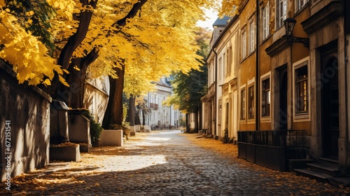 Vertical shot of a breathtaking street in a timberland secured in yellowing trees and dried clears out in autum