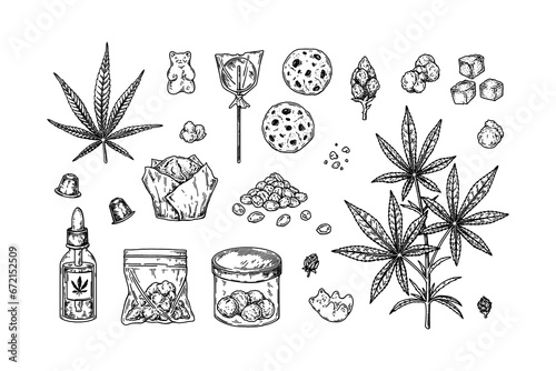 Cannabis products. Set of design elements for marijuana store decoration. Vector illustration in sketch style