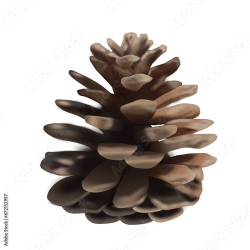 Pine cone vector illustration.