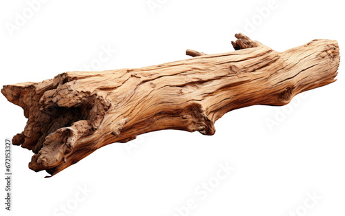 Wooden Legacy The Ageless Beauty of Tree Trunks on White or PNG Transparent Background.