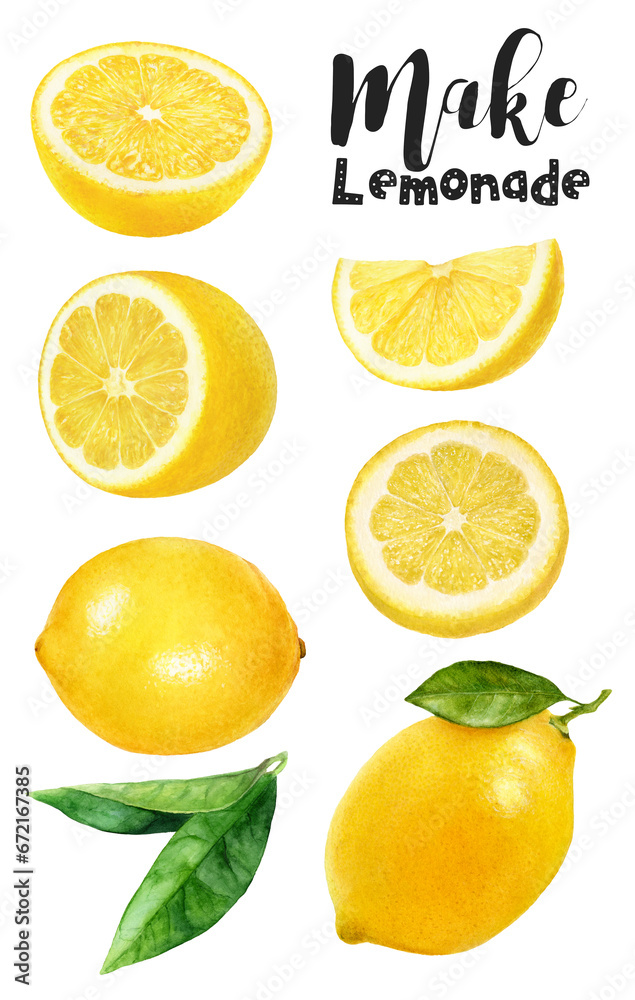 Watercolor illustration off lemon set close up. Design template for packaging, menu, postcards