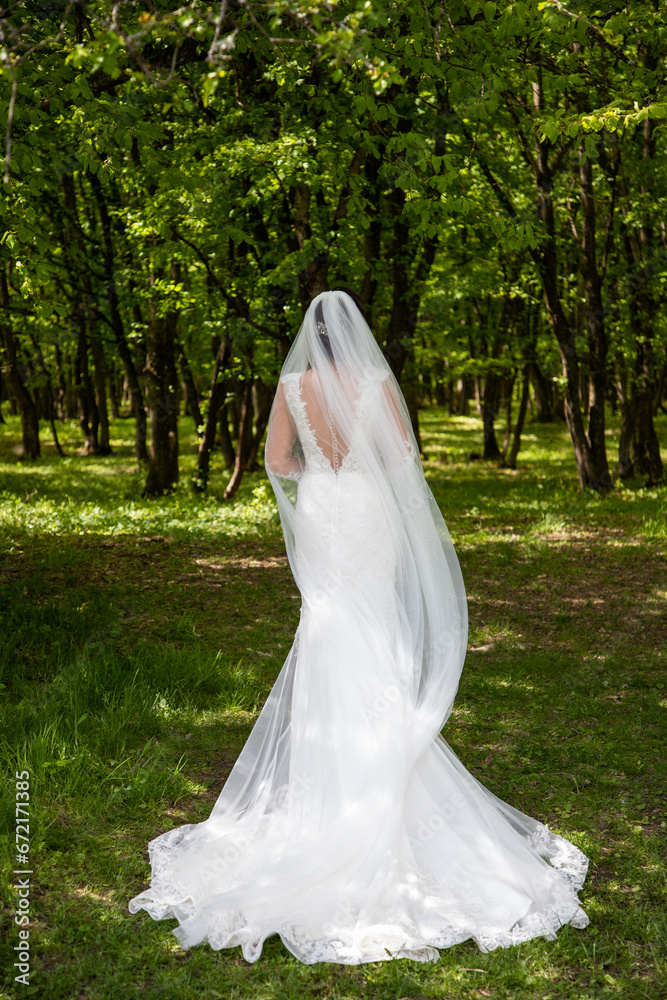 beautiful bride in gorgeous white wedding dress beautiful bride in gorgeous white wedding dress