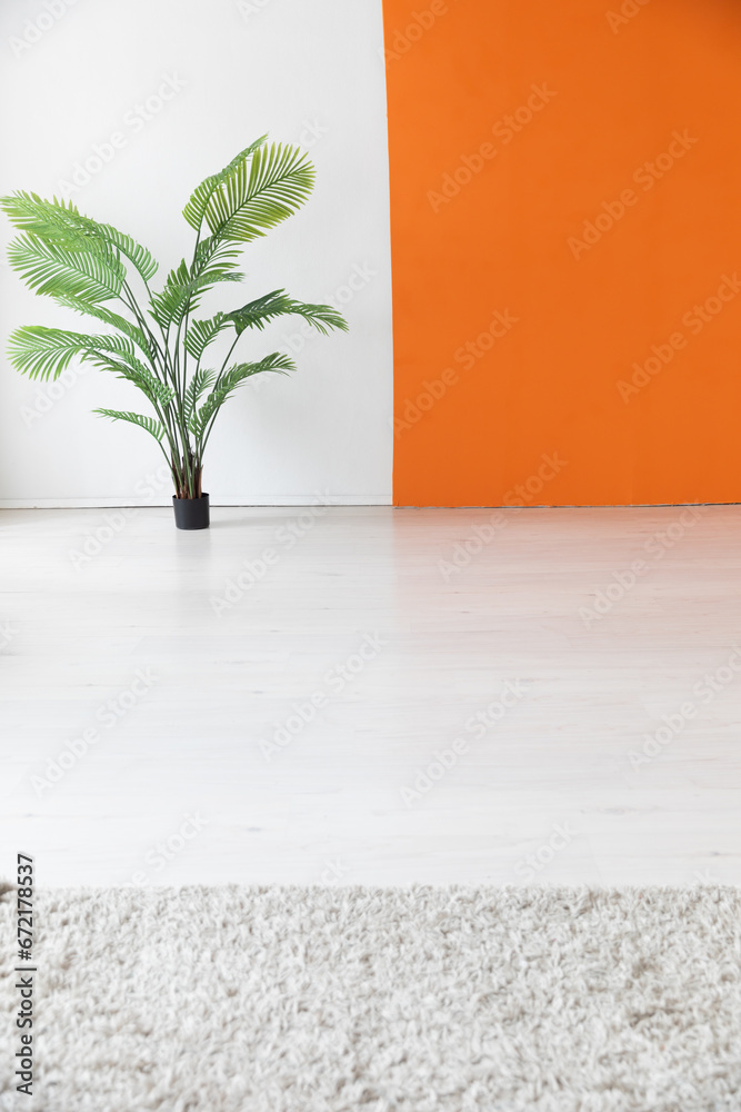 Fototapeta premium Decorative green plant in the interior of an empty white and orange room