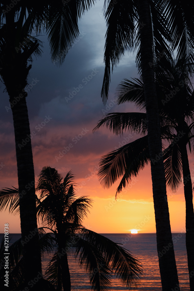 (Selective focus) Stunning view of a dramatic sunset in the background and the silhouette of coconut palm trees in the foreground. White Beach, Boracay Island, Philippines.