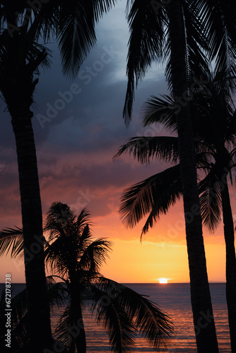 Obraz na płótnie (Selective focus) Stunning view of a dramatic sunset in the background and the silhouette of coconut palm trees in the foreground. White Beach, Boracay Island, Philippines. w salonie