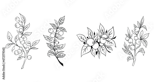 Set of hand drawn decorative elements. Vector illustration