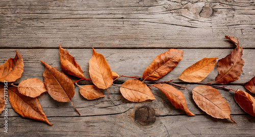 spices dry autumn leaves on wooden background