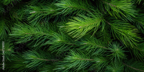 Image Of Coniferous Branches And Needles For Wallpaper And Background Created Using Artificial Intelligence