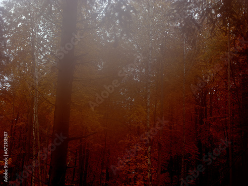 Herbst 2023 © Igor