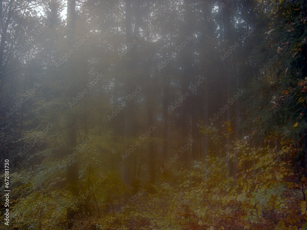 Fototapeta premium Herbst 2023