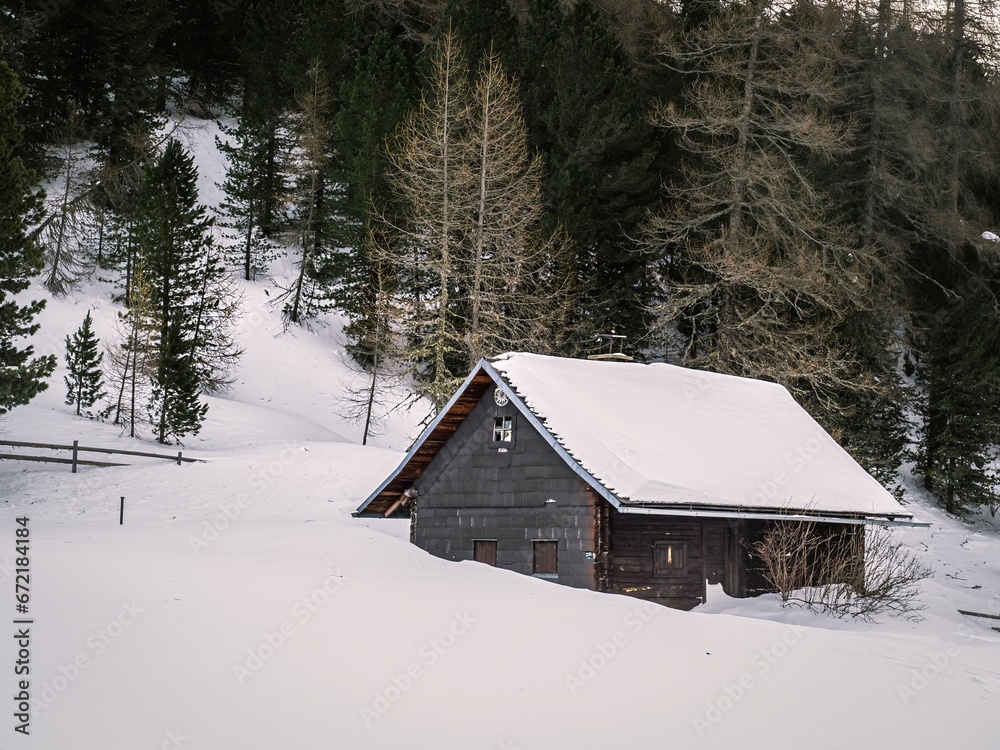 Snow covered wooden shack in a winter forest