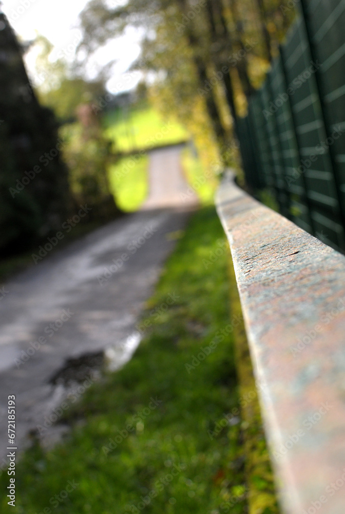 Nature Forest Path Sun Green Grass Light Railing