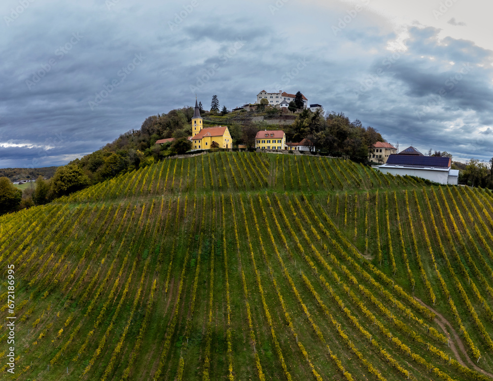 Viticulture in the Southeast of Styria, Kapfenstein Castle, Austria