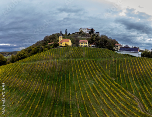 Obraz na płótnie Viticulture in the Southeast of Styria, Kapfenstein Castle, Austria w salonie