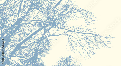 Tree branches with snow in winter texture  vector abstract natural grunge background.