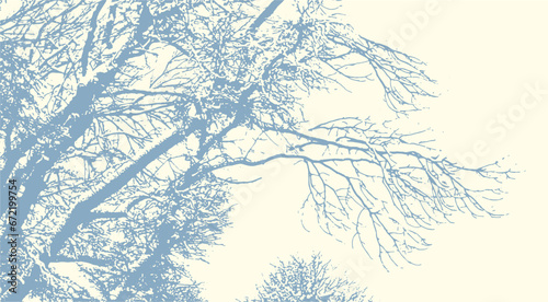 Tree branches with snow in winter texture, vector abstract natural grunge background.