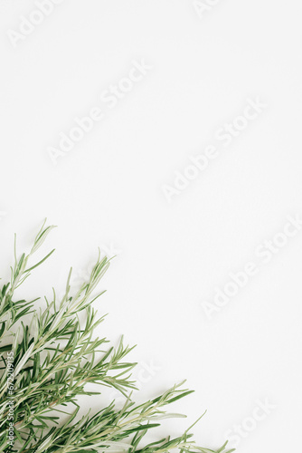 Sprigs of rosemary on a white background  flat lay. Plants for aromatherapy. Space for text.