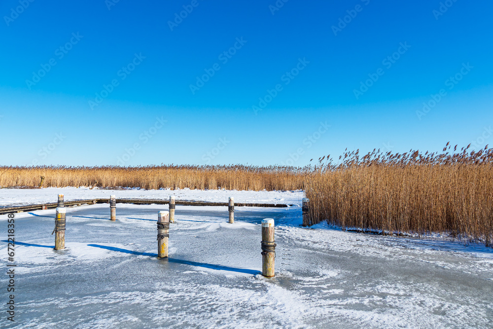 custom made wallpaper toronto digitalBodden bei Ahrenshoop auf dem Fischland-Darß im Winter