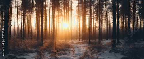 sunset in winter forest. calm, tranquil, and beautiful nature. generative AI