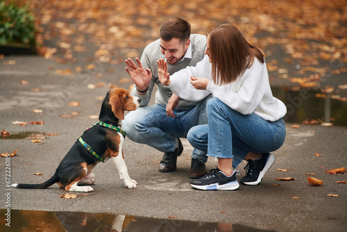 Sitting, playing with animal. Lovely couple are with their cute dog outdoors photo