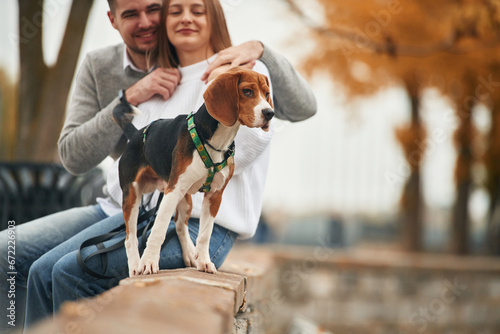 Smiling, having fun. Lovely couple are with their cute dog outdoors photo