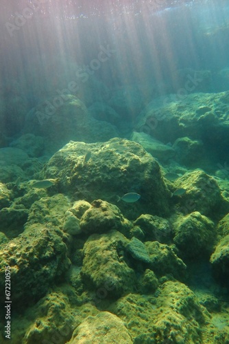 Green ocean, swimming fish and rocky seabed. Seascape in the shallow sea, rocks with algae and sunrays from the water surface. Bug stones and sun underwater, photo from snorkeling.