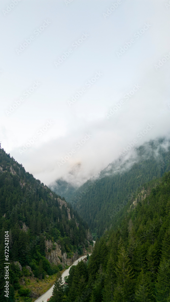 Mountain covered with forests. Aerial view forest. The mountain range is a natural protected area. A cloud has fallen over the forest